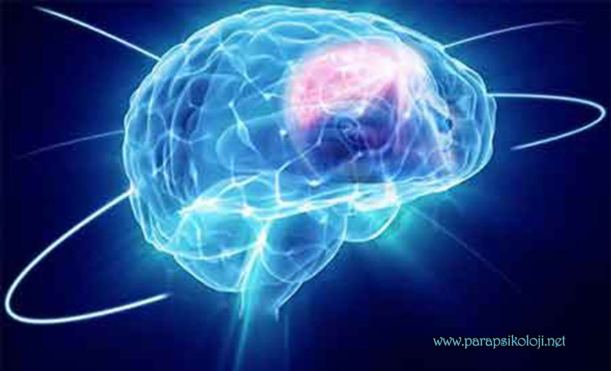 Ön Beyin ve Parapsikolojik Bağlar Prefrontal Korteks
