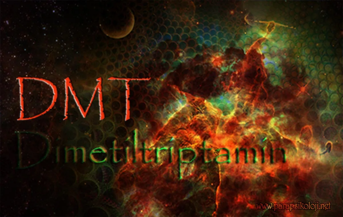 dmt nedir? dmt molekülü, ruh molekülü, dmt belgeseli