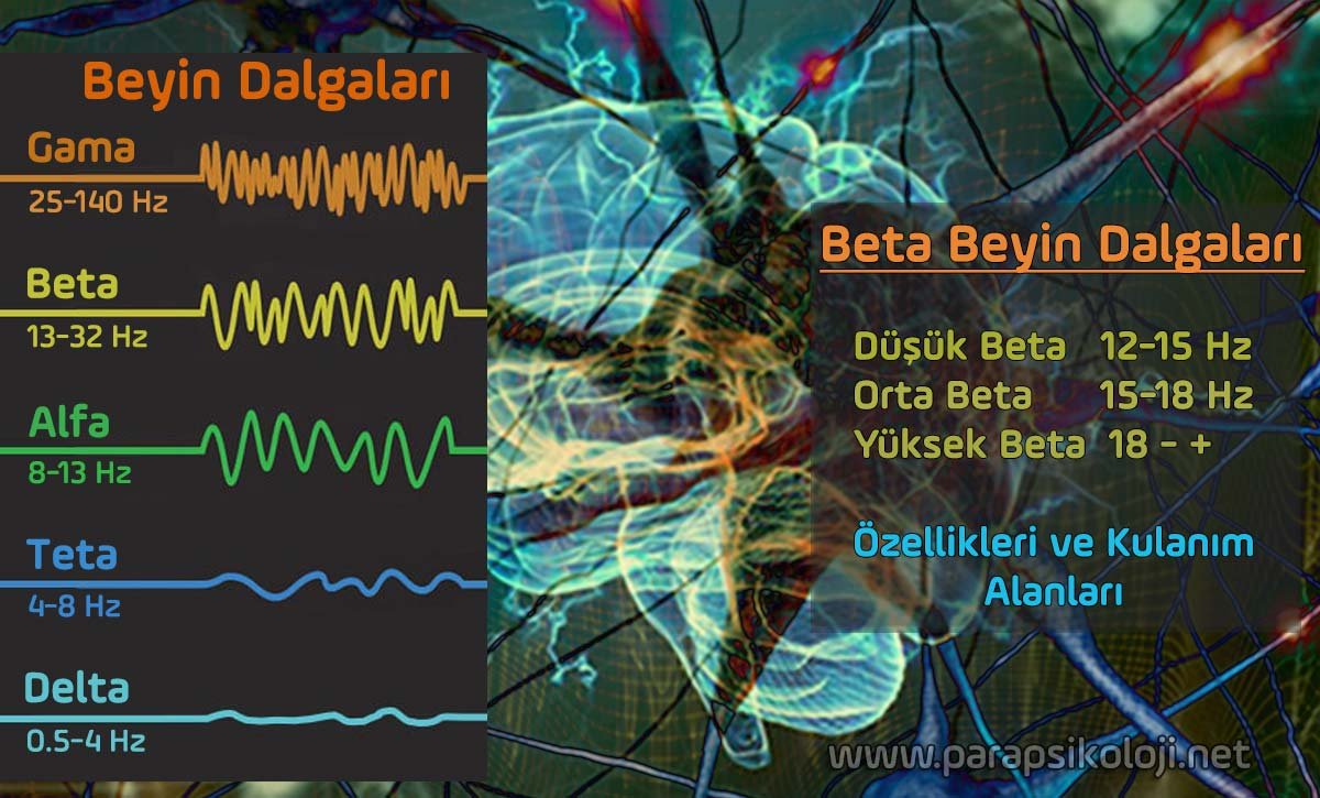 Beta Dalgaları, Özellikleri, Olumlu ve Olumsuz Etkileri