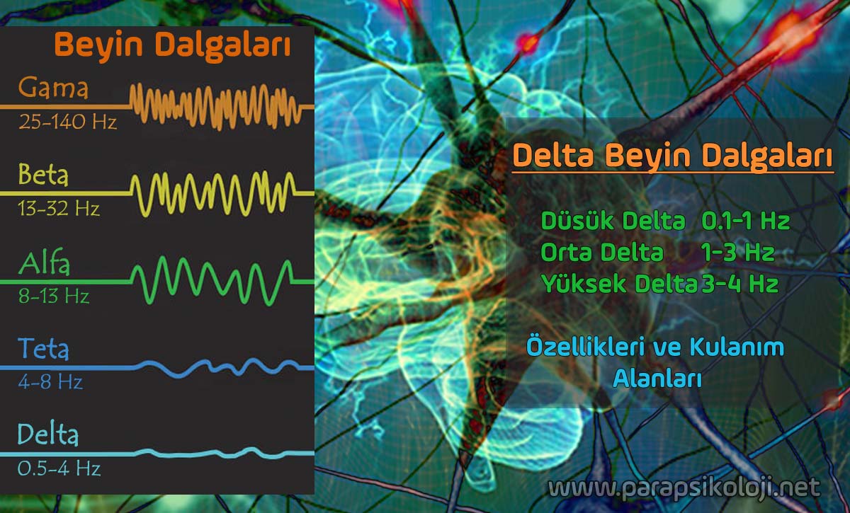 Delta Dalgaları, Özellikleri ve Kullanım Alanları