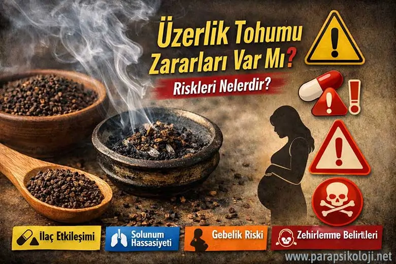 Üzerlik Tohumu Zararları Var Mı, Riskleri Nelerdir?